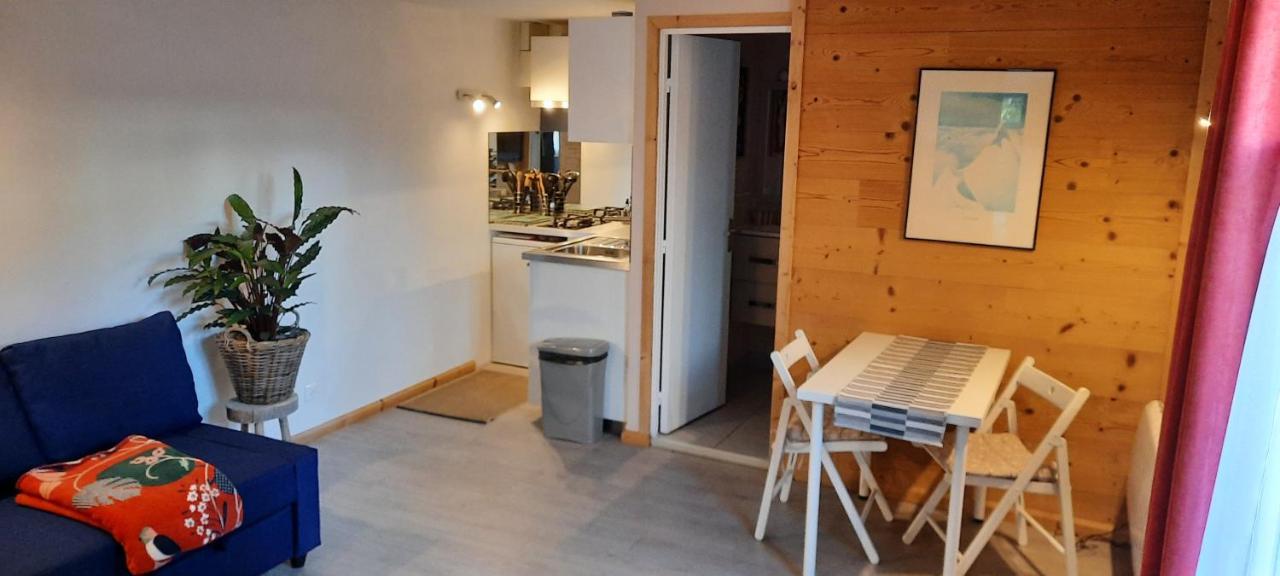 Studio Au Pied Des Montagnes Le Bourg-dʼOisans Εξωτερικό φωτογραφία